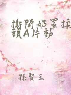 撕开奶罩揉吮奶头A片动