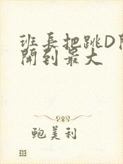 班长把跳D开关开到最大