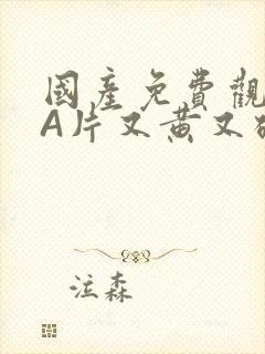 国产免费观看黄A片又黄又硬小说