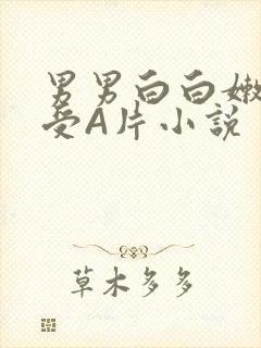 男男白白嫩嫩小受A片小说
