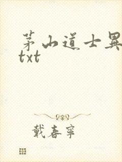 茅山道士异界游txt