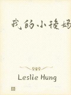 我的小后妈小说