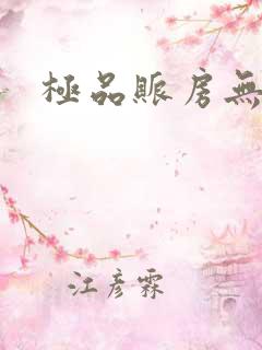 极品账房无弹窗