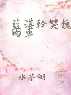 蓝湛干哭魏无羡肉车