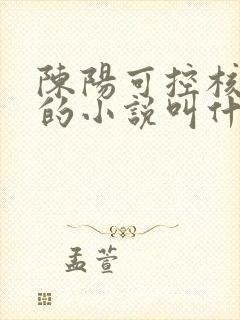 陈阳可控核聚变的小说叫什么名字