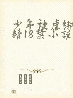 少年被虐绑着榨精18禁小说