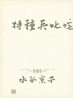 特种兵叱咤异界