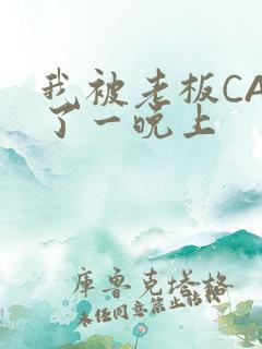 我被老板CAO了一晚上