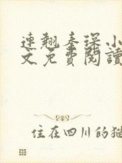 连翘秦琛小说全文免费阅读