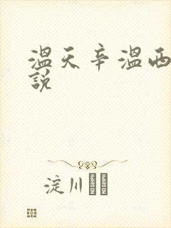 温天辛温西离小说