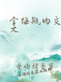 金梅瓶肉交白话文