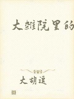 大杂院里的女人