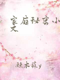 家庭秘密小说全文