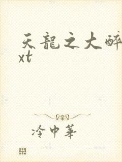 天龙之大醉侠txt