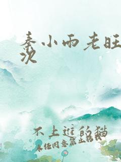 秦小雨老旺第一次