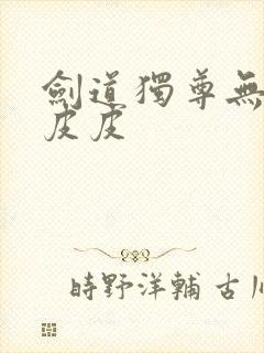 剑道独尊无弹窗皮皮