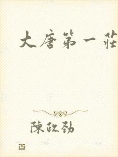 大唐第一庄