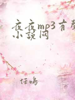 夜夜mp3有声小说网