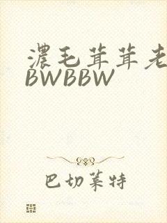 浓毛茸茸老太BBWBBW