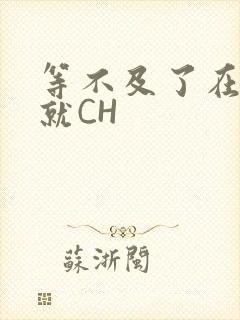 等不及了在车里就CH