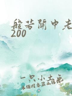 般若关中老人5200