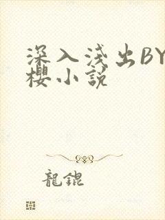 深入浅出BY胖樱小说