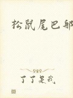 松鼠尾巴那么软