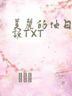 美丽的他日剧小说TXT