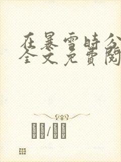 在暴雪时分小说全文免费阅读