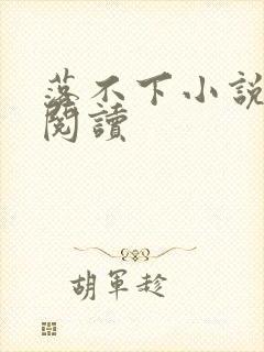 落不下小说免费阅读