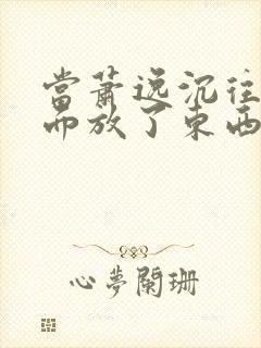 当萧逸沉往你里面放了东西小玩具