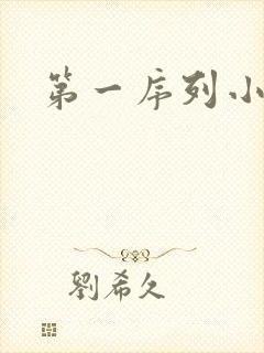 第一序列小说