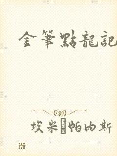 金笔点龙记