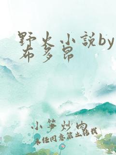 野火小说by夏布多昂