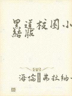 黑道校园小说完结版