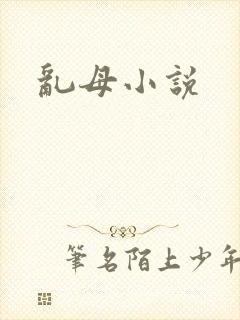 乱母小说