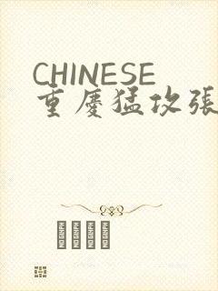 CHINESE重庆猛攻张先生