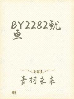 BY2282鱿鱼