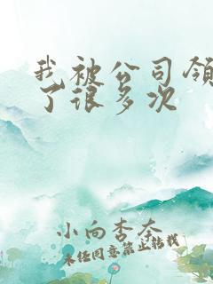 我被公司领导C了很多次