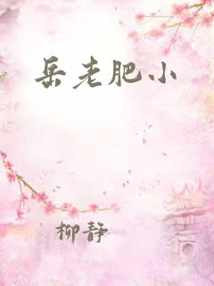 岳老肥小