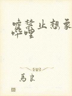 嘘禁止想象哔哩哔哩