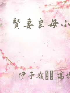 贤妻良母小说