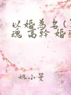 以婚为名 (军魂 高干 婚恋)