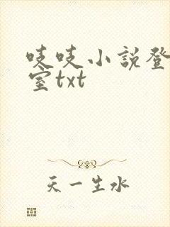 吱吱小说登堂入室txt