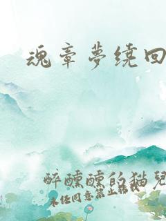 魂牵梦绕回大清