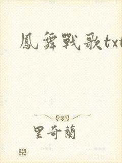 凤舞战歌txt