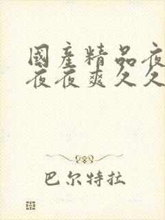 国产精品夜夜春夜夜爽久久小说