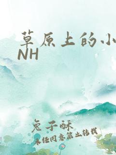 草原上的小公主NH