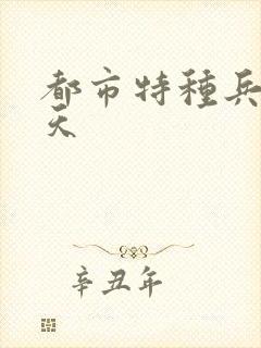 都市特种兵 任天