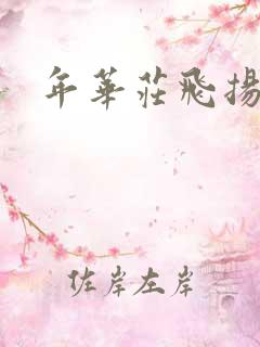 年华庄飞扬